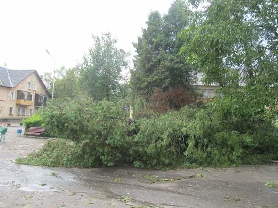 На западе Украине бушевал ураган. Фото: mykolaivmr.lviv.ua, rogatyn.info