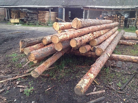 <p>Вилучили деревину. Фото: npu.gov.u</p>