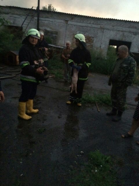 <p>На місці пожежі. фото kyivobl.mns.gov.ua</p>