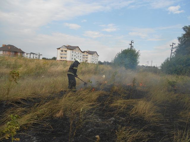 Из-за жары под Киевом все больше пожаров. Фото: ГСЧС Киевской области