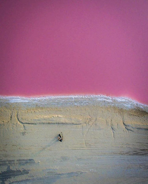 Розовая лагуна. Фото: boredpanda.com