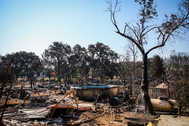 Влада Каліфорнії оголосила евакуацію місцевих жителів, які живуть в небезпечній близькості від пожежі. Вогонь палає на півдні штату – горить національний парк Сан-Бернардіно. Фото: AFP