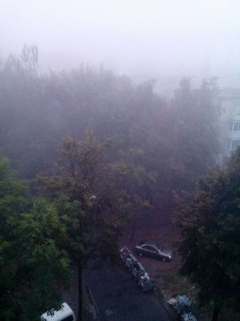Львов окутан дождем и туманом. Фото: соцсети.