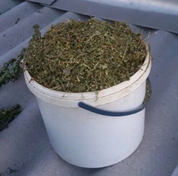 Наркотики хранил на крыше. Фото: kv.npu.gov.ua