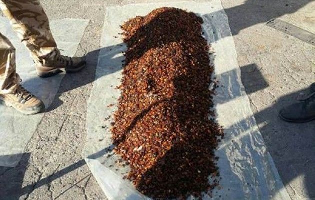 Пять мешков янтаря изъяли у охотника на 'солнечный камень' , фото npu.gov.ua