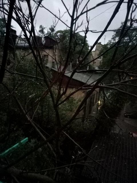 <p>На балкон житлового будинку впало дерево. Фото: Facebook / Олег Бєлов</p>