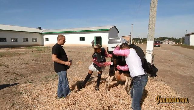 Профессия зоотехника связана с животноводством и уходом за скотом. Фото: nlotv.com