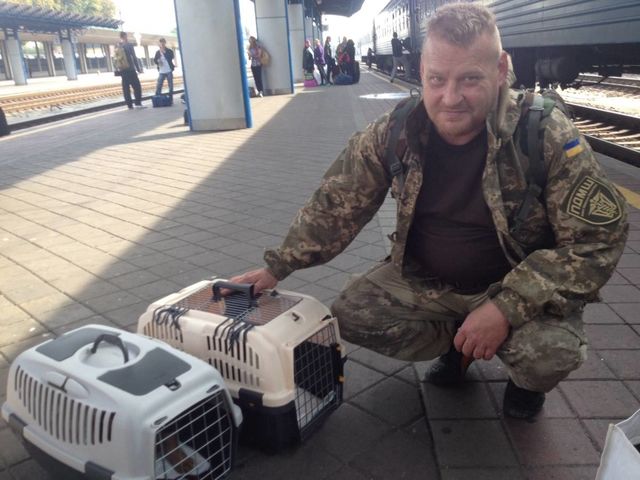 1 октября кошечку привезли поездом в Киев. Фото: facebook