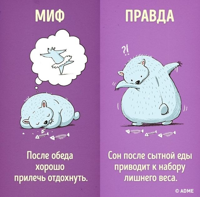 <p>За вихідні виспатися на тиждень вперед не вийде. Фото: adme.ru</p>