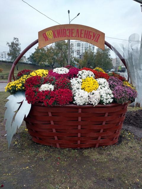 <p>Фото: "Київзеленбуд"</p>