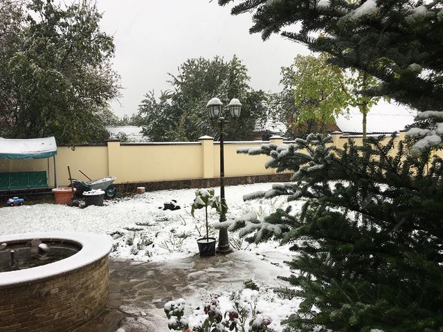 <p>У Вінниці випав перший сніг. Фото: Facebook / Віктор Бронюк</p>
