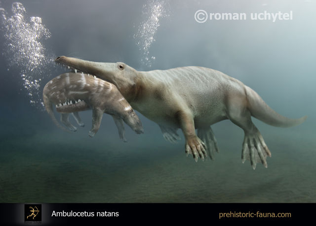 Фото: prehistoric-fauna.com
