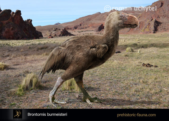 Фото: prehistoric-fauna.com