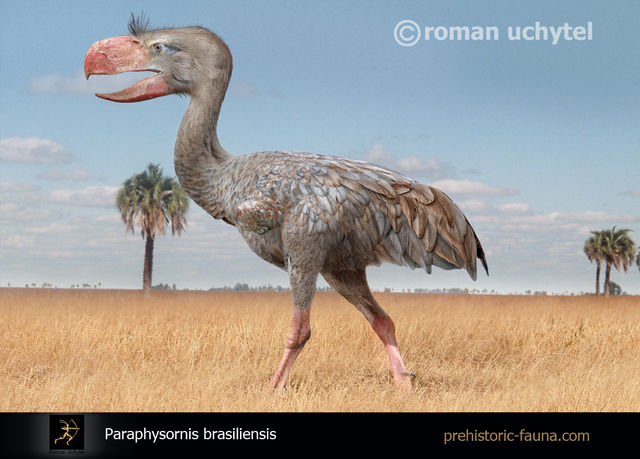 <p>Фото: prehistoric-fauna.com</p>