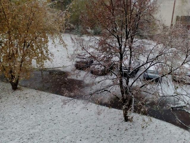 Первый снег выпал в Черниговской области. Фото: cheline.com.ua