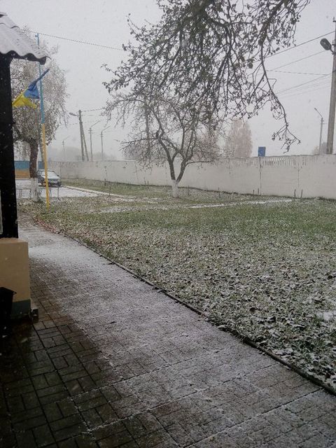 Первый снег выпал в Черниговской области. Фото: cheline.com.ua