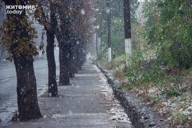 Первый снег в Житомире. Фото: zhitomir.today