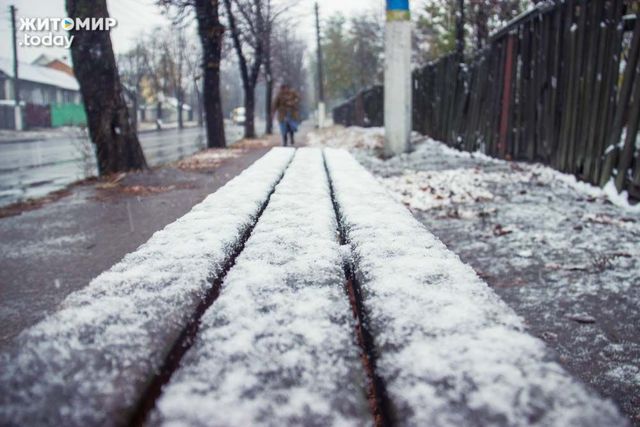 Первый снег в Житомире. Фото: zhitomir.today