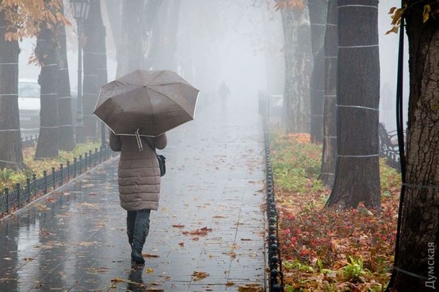 Туманная и дождливая Одесса. Фото: 