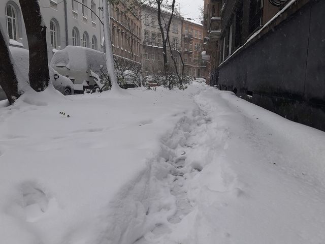Снег во Львове. Фото: Варта-1, Т.Самотый, патрульная полиция Львова