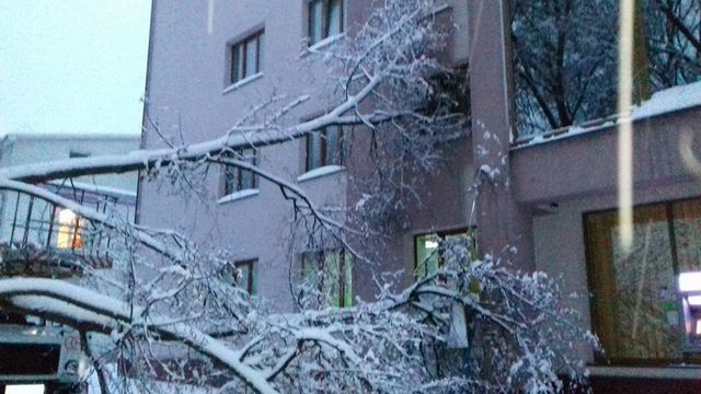 Снег на Прикарпатье. Фото: versii.if.ua, galka.if.ua, ГСЧС