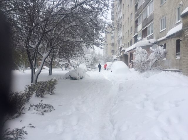 <p>Сніг в Тернополі. Фото: соцмережі, ДСНС, прес-служба Нацполіції</p>