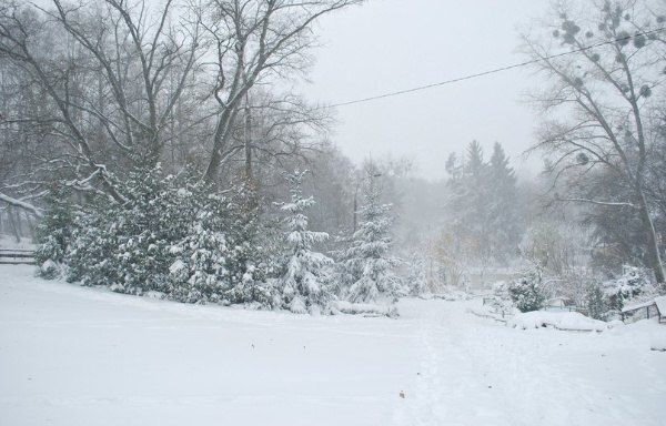 Зима в Ровно. Фото: ГСЧС, соцсети
