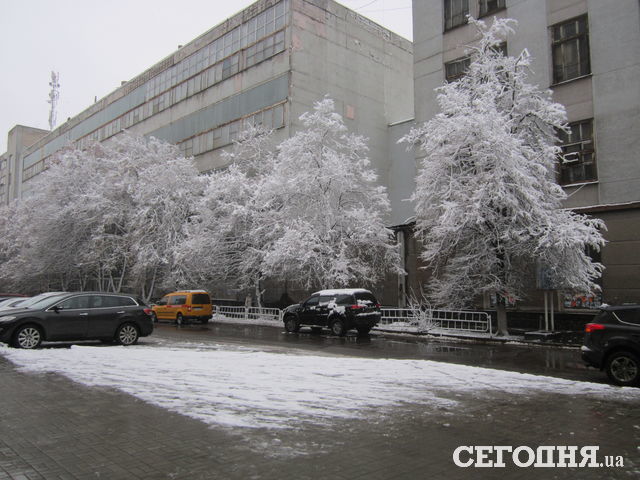 <p>В Херсоні випав перший сніг. Фото: Павленко Анастасія\Сегодня.ua</p>