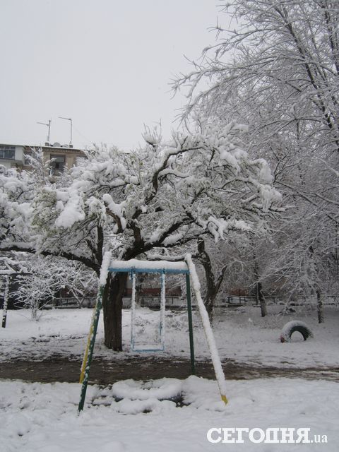 В Херсоне выпал первый снег. Фото: Павленко Анастасия\Сегодня.ua