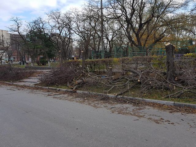 <p>Феодосію зачищають від дерев. Фото: соцмережі</p>