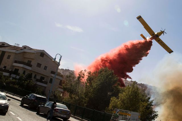  Израильская полиция из-за наступающих пожаров объявила эвакуацию 11 районов северного города Хайфы, третьего по величине в стране. Фото: AFP