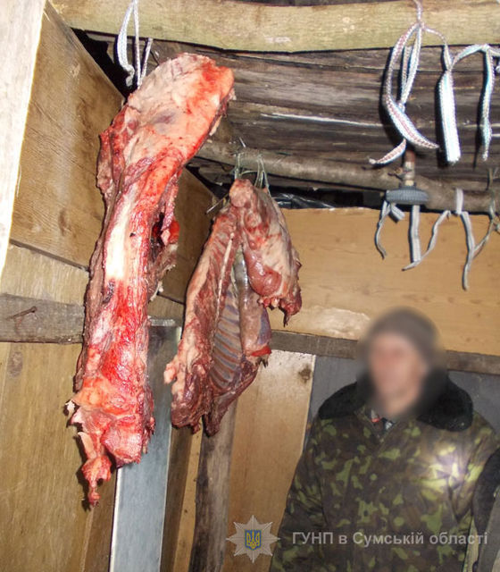Браконьер убил молодого оленя и кабанов. Фото: полиция