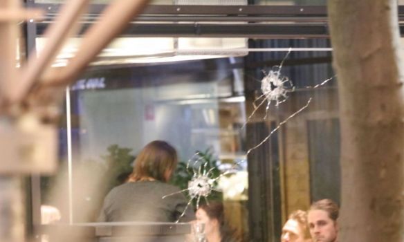 При стрельбе в торговом центре под Копенгагеном были ранены два человека. Фото: Foto: Mathias Øgendal/Scanpix 2016
