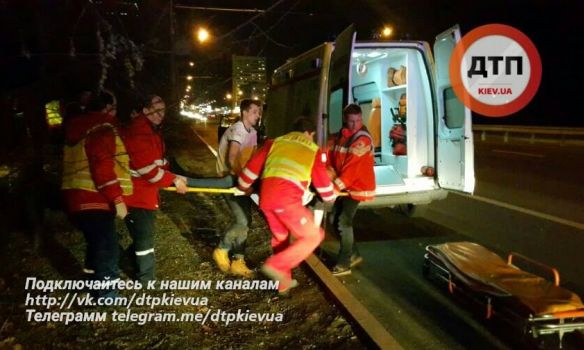 В Киеве автомобиль вылетел с дороги и врезался в забор зоопарка. Фото: ДТП.kiev.ua