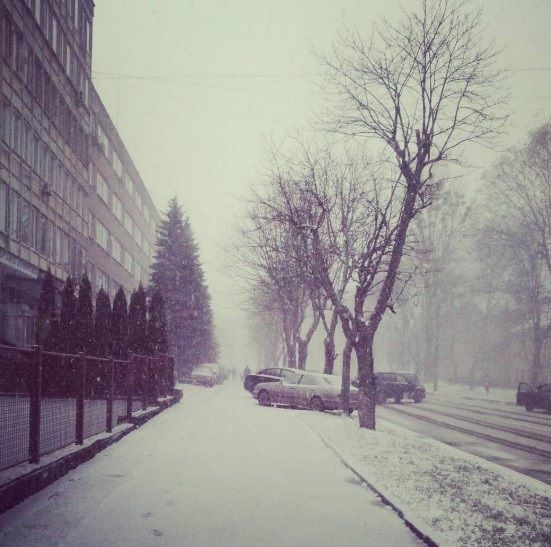 Львов и Львовскую область засыпало снегом, фото из соцсетей