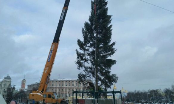 В Киеве начали устанавливать главную новогоднюю елку страны.  Фото: Громадське