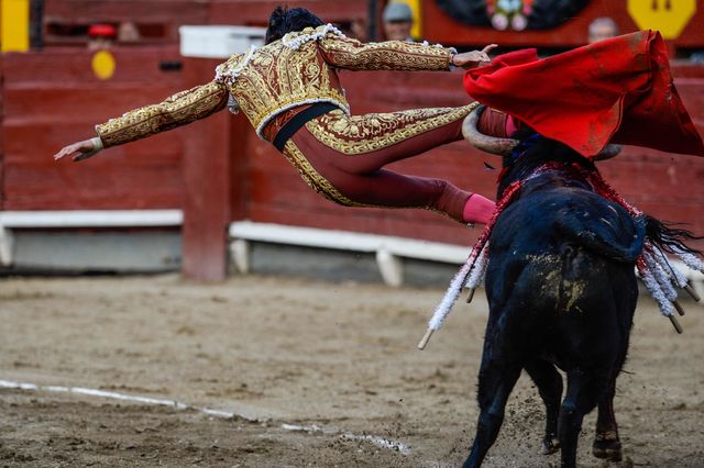 4 грудня 2016 року. Тореадор з Перу приборкує бика на арені в Лімі. Фото: AFP
