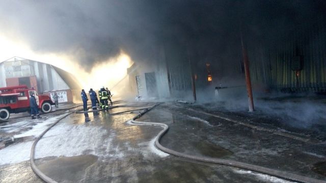 Пожар в Вишневом. Фото ГСЧС