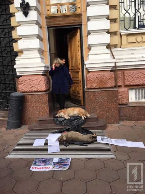 Вышли на акцию в защиту собак. Фото:1tv.od.ua