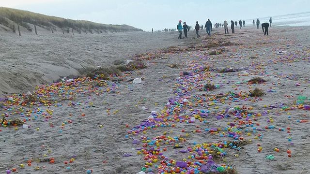 Туристы собирают пластиковые 