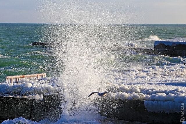 <p>Зимове одеське море. Фото: dumskaya.net</p>