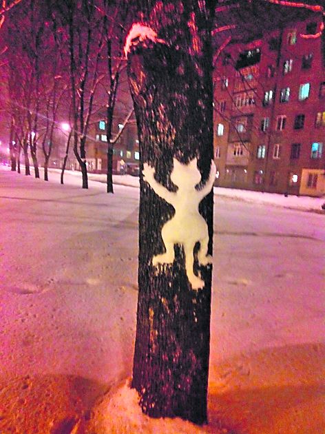 Неожиданно. Кот на дереве. Фото: vk.com