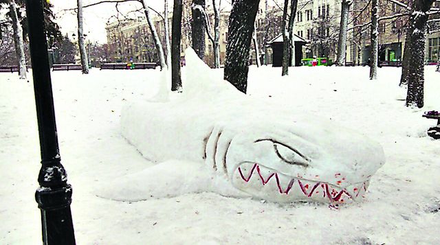 Акула. Хищная рыба из снега на улице. Фото: vk.com