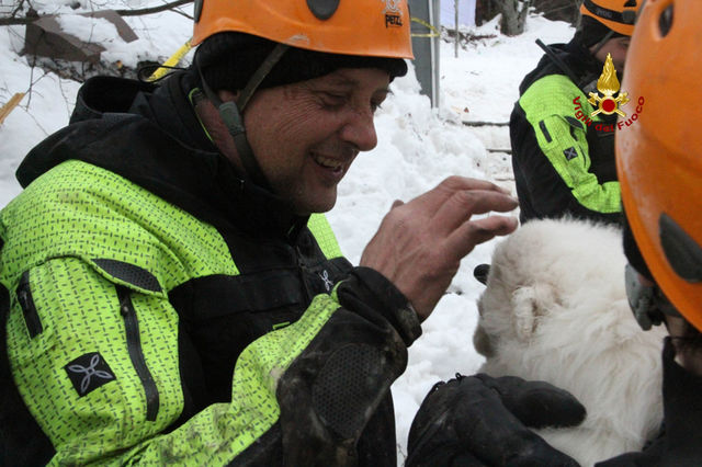 <p>В Італії з-під уламків готелю, зруйнованого сніговою лавиною, витягли трьох живих цуценят, фото AFP</p>