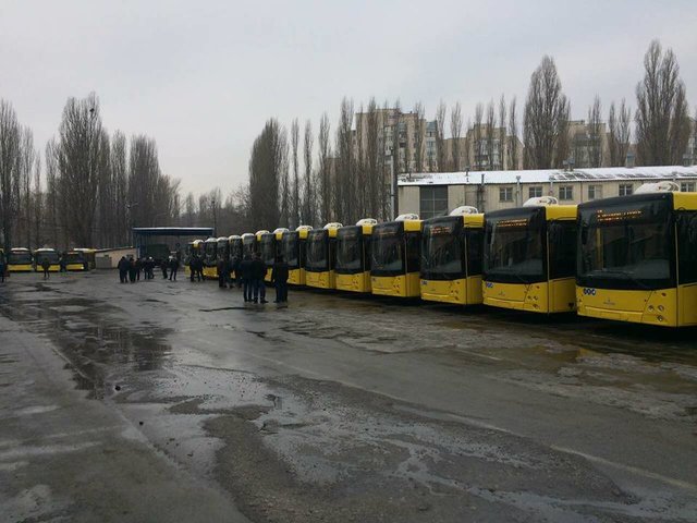 Новые автобусы. Фото: Дмитрий Левченко