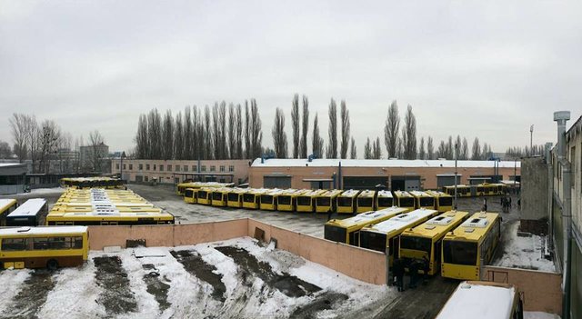 Новые автобусы. Фото: Дмитрий Левченко
