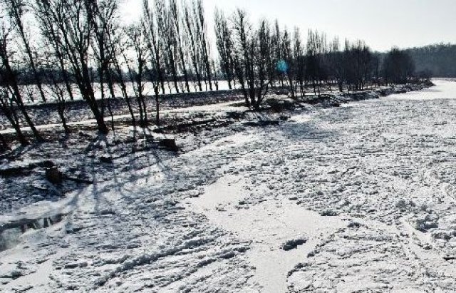 Ледовой затор на украинско-словацкой границе. Фото: mukachevo.net