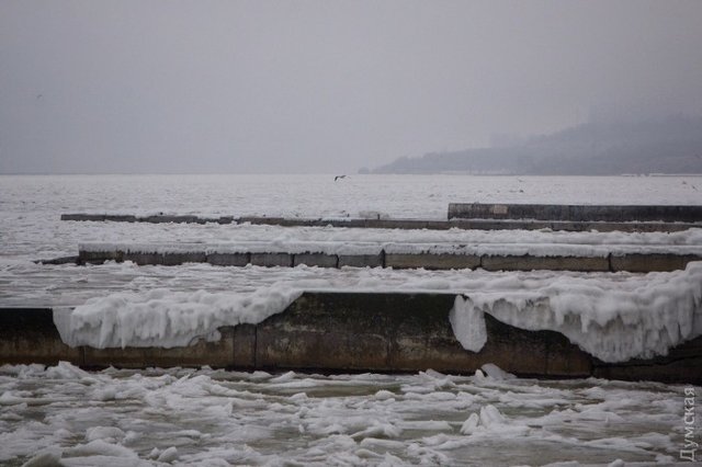 Море замерзло. Фото: dumskaya.net
