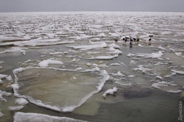 Море замерзло. Фото: dumskaya.net