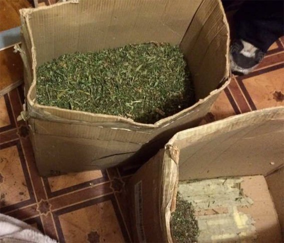 Стоимость наркотиков почти 2 миллиона гривен. Фото: полиция